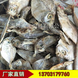 进口国产新鲜饲料鱼干批发鱼干厂家价格 进口国产新鲜饲料鱼干批发鱼干厂家型号规格